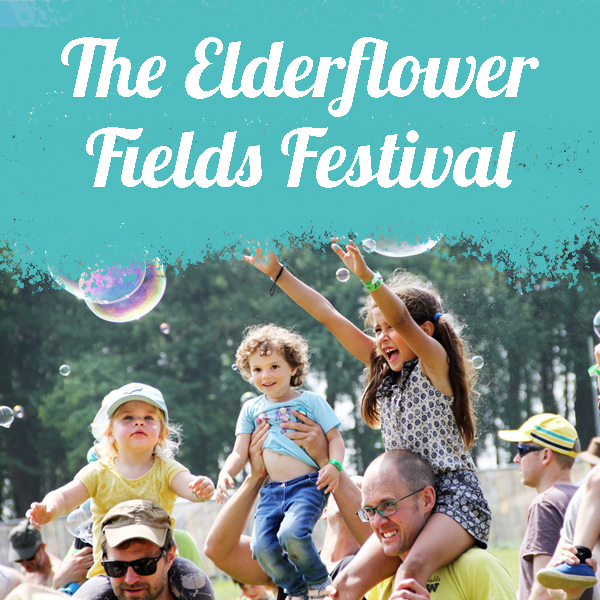 Elderflower Fields Magic Grows  image