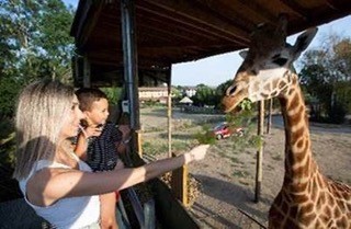 Chessington World of Adventures