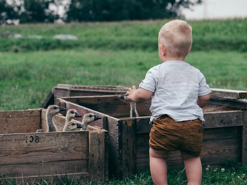 5 Ways To Teach Your Kids The Importance Of Wildlife Conservation  image