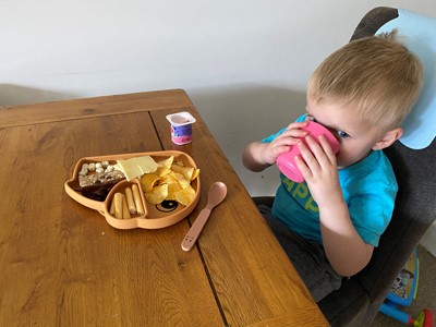 Review: Elphee Silicone Stick & Stay Plate, worth £22.95  image