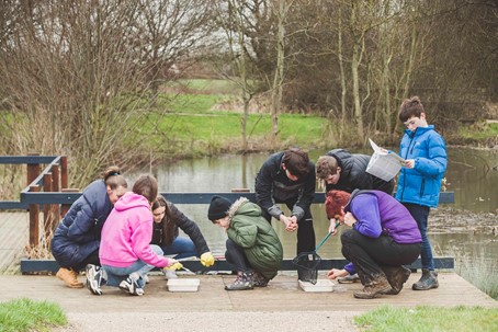 The Parks Trust host fun filled family friendly activities this October Half Term!   image