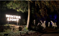 Waddesdon’s Winter Light extended throughout January  image