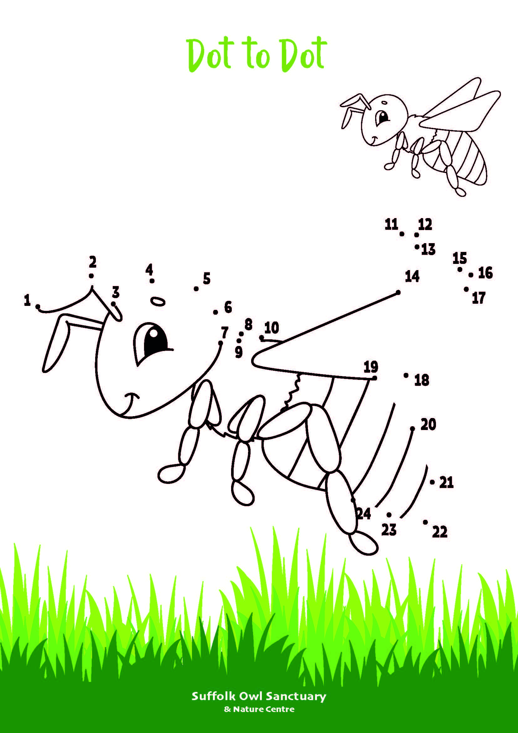 Bee Dot to Dot Activity Sheet  image