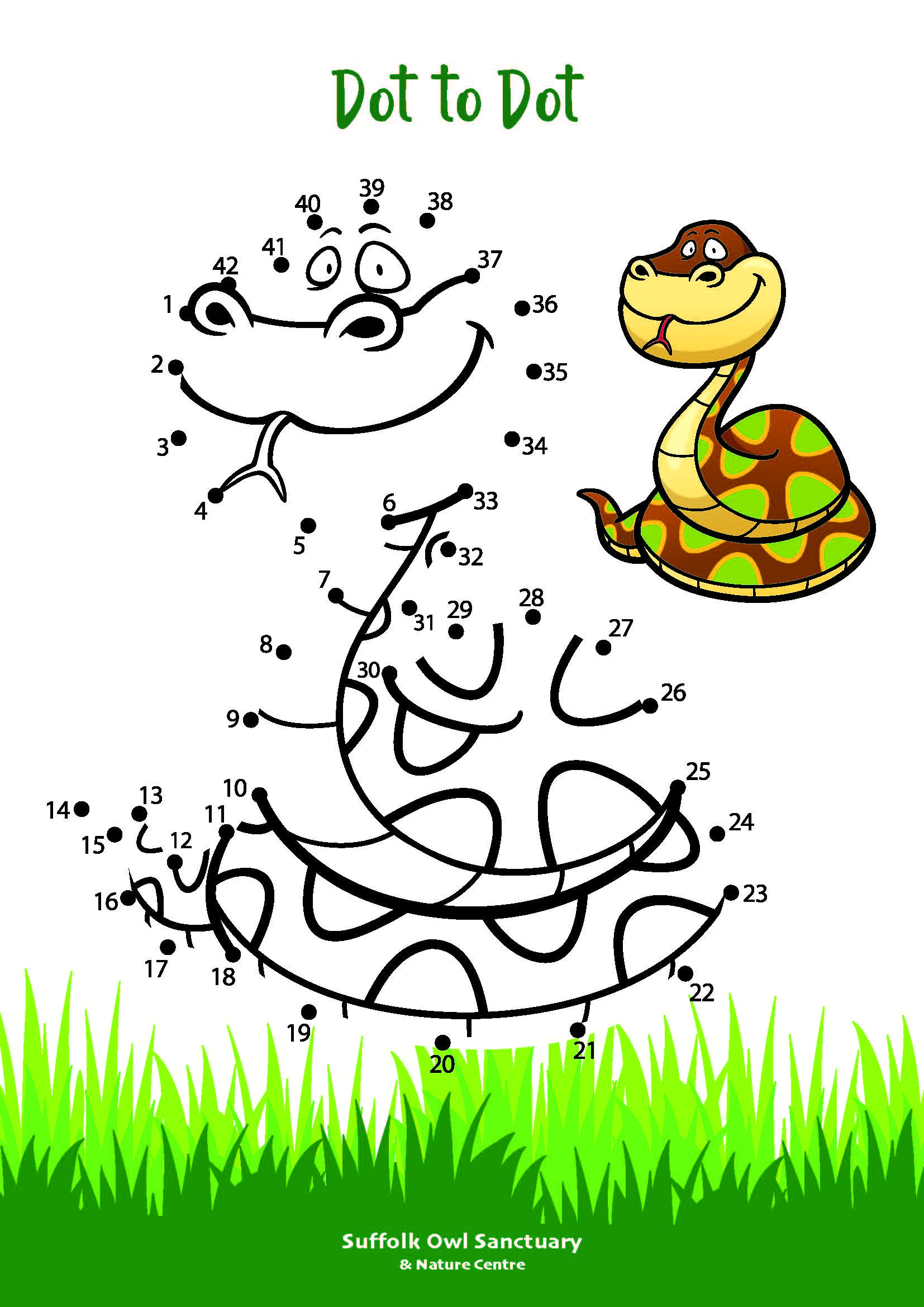 Snake Dot to Dot Activity Sheet  image