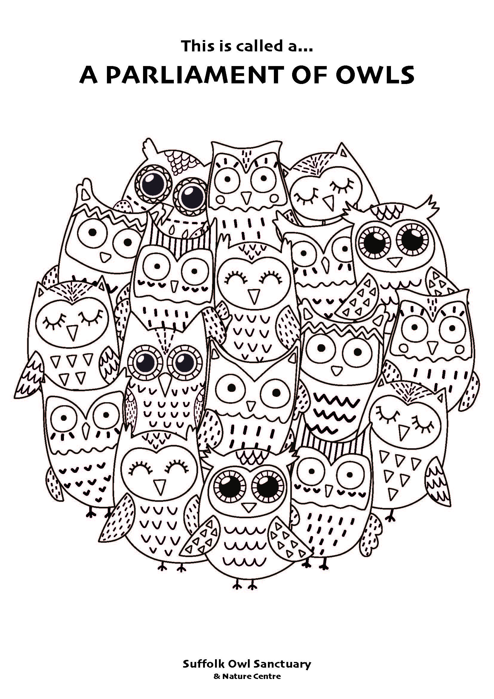 Owl Colouring In Activity Sheet  image