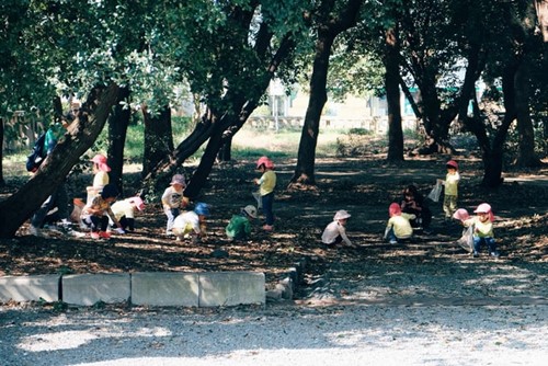 Childhood Development and the Benefits of Forest Schools   image