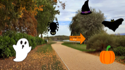 Free Halloween Trail Opens at Willen Lake for Half Term  image