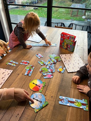 Review: Orchard Toys Rainforest Match Game, worth £9.00  image