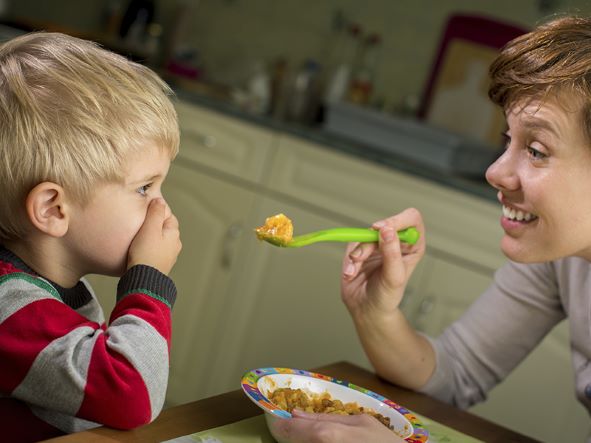 Is Your Child a Picky Eater?  image