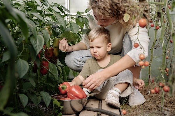 How to Create a Sensory Garden for Your Toddler  image