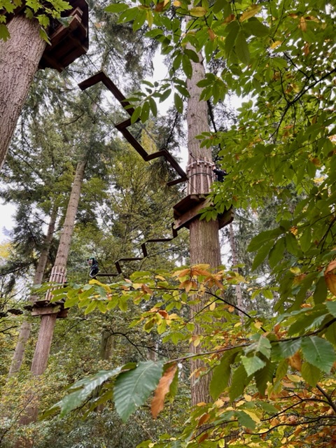 Toddling About Suffolk: High Lodge at Thetford Forest  image