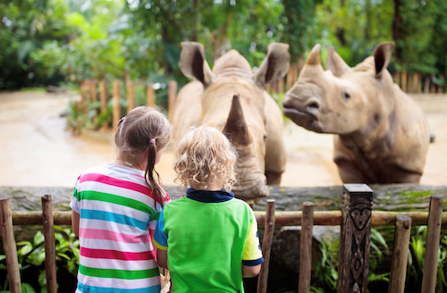 Six Tips to Teach Your Child About Endangered Animals  image
