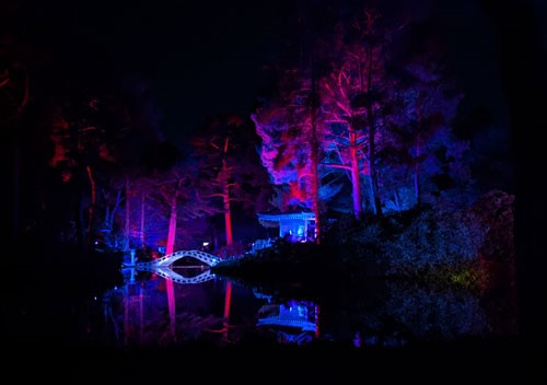 Light Trail in Tatton Park