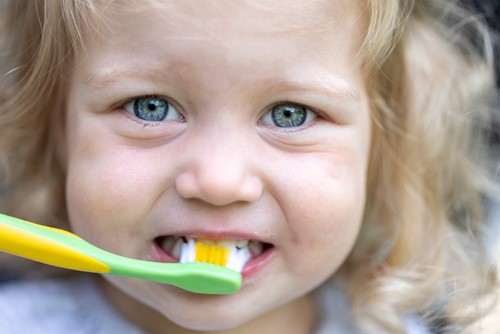 Practical Suggestions to Get Your Toddler to Look After Their Teeth  image