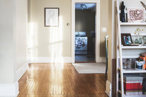 Kid-Friendly Internal Doors: Safety and Style for Busy Homes  image