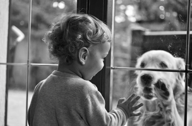 The Joys and Challenges of Raising Kids With Furry Friends  image