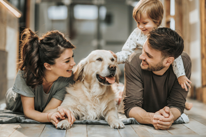 Simple Remedies to Keep Your Entire Household Healthy From Kids to Dogs  image
