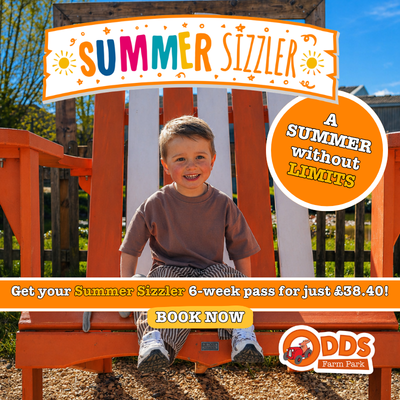 Odds Farm Summer sizzle side bar advert