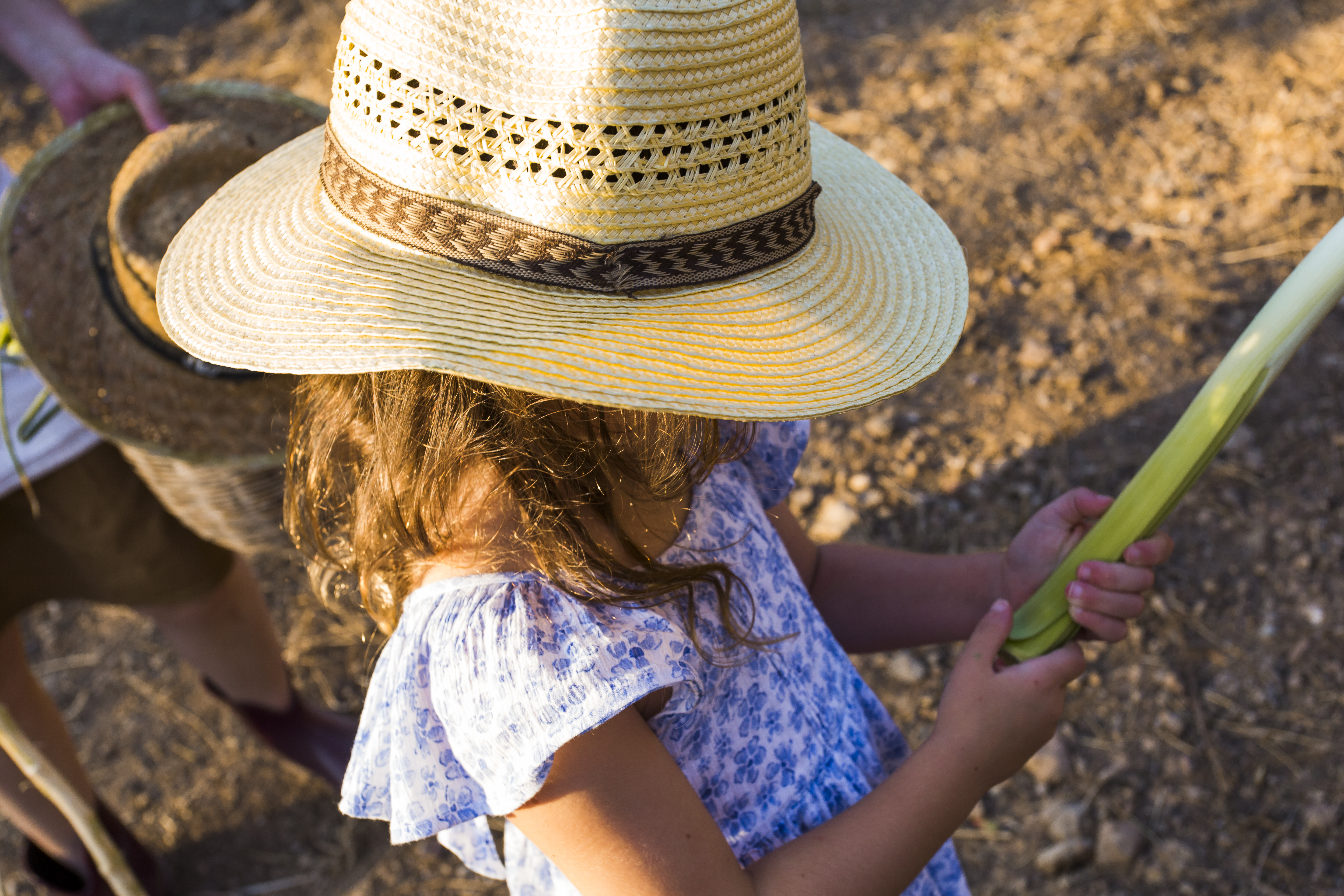 Summer 2026 Family Events in Oxfordshire for Little Ones  image