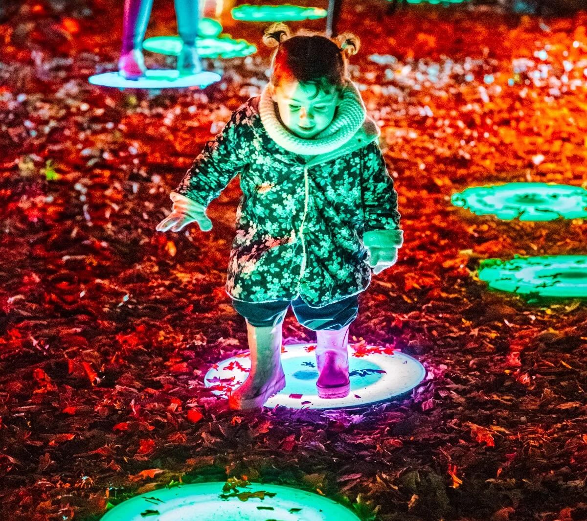 Child enjoying the lights at Delapre Abby, Northampton