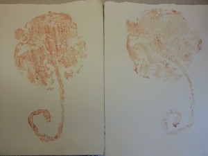 placenta-pics