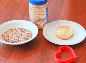 Make Your Very Own Bird Feeder This Winter  image