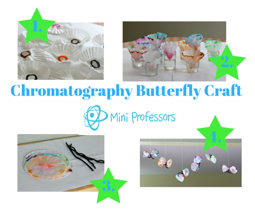 Chromatography Butterfly Craft  image