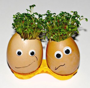 cress-head-day-4WEB