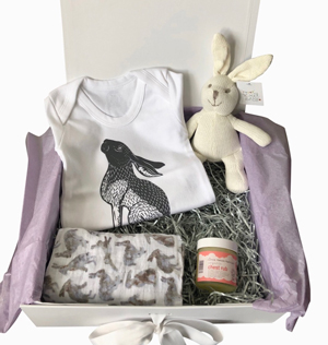 Baby Gift Hamper