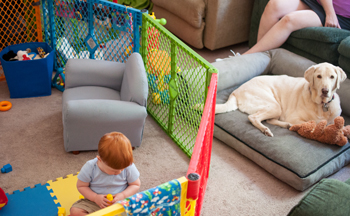 Dog and Baby